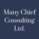 Many Chief Consulting Ltd.