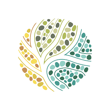 Rise Consulting Ltd.