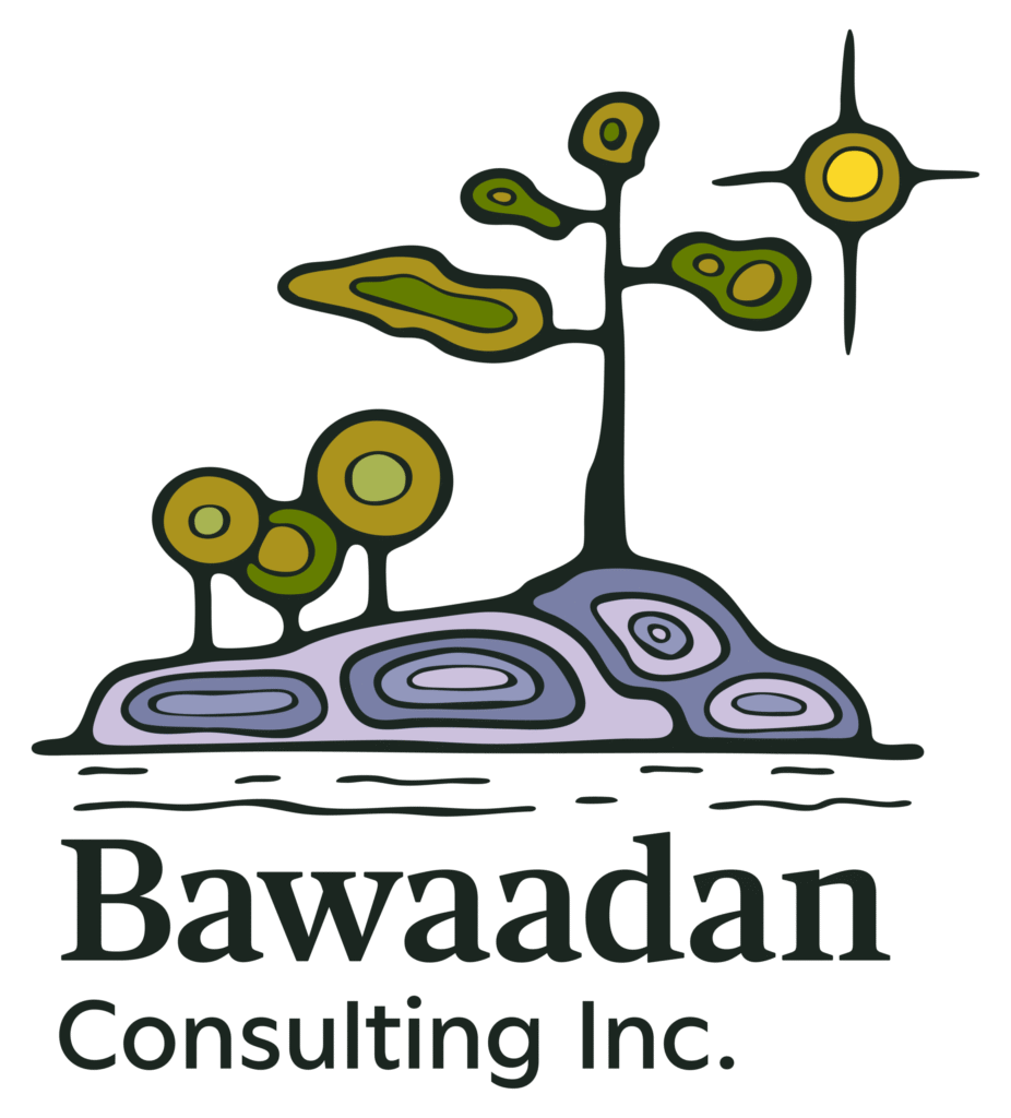 Bawaadan Consulting Inc.