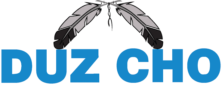 Duz Cho Construction LP