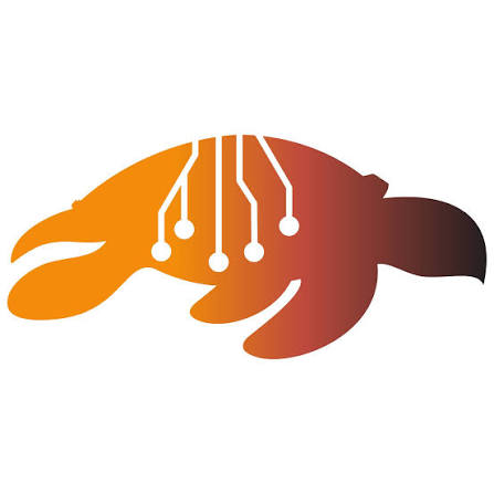 Turtle Island Technology Solutions Inc.