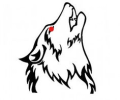 Amarok Enterprises Ltd.